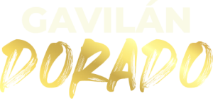 GAVILÁN DORADO
